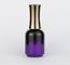 Fashionable UV Gel Nail Polish Glass Bottles Led Cordless Art Paint CE Approved